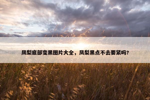 凤梨底部变黑图片大全,凤梨黑点不去要紧吗? 凤梨底部变黑图片大全,凤梨黑点不去要紧吗?