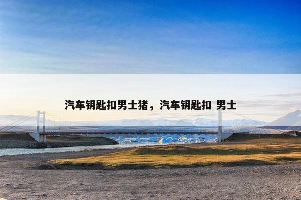 汽车钥匙扣男士猪，汽车钥匙扣 男士