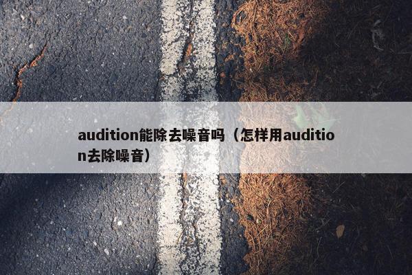 audition能除去噪音吗(怎样用audition去除噪音) audition能除去噪音吗(怎样用audition去除噪音)