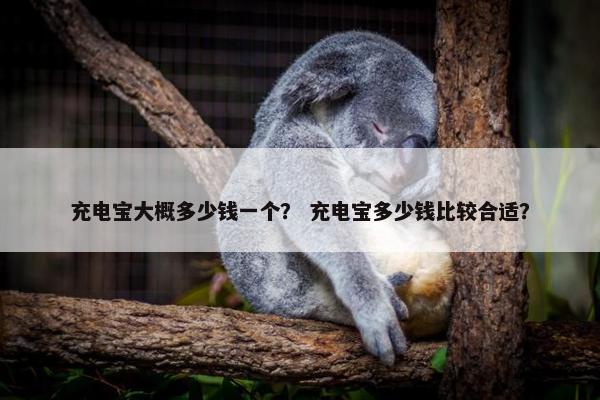 充电宝大概多少钱一个？ 充电宝多少钱比较合适？