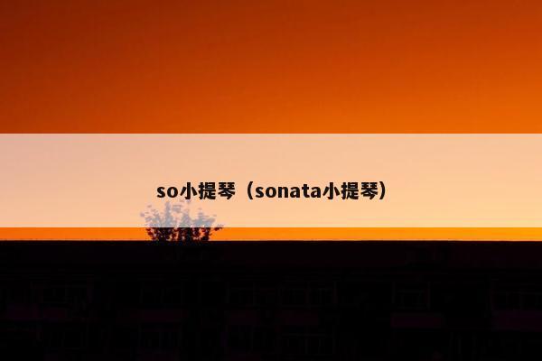 so小提琴（sonata小提琴）