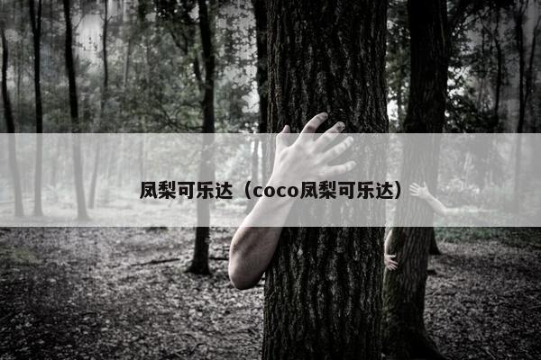 凤梨可乐达（coco凤梨可乐达）