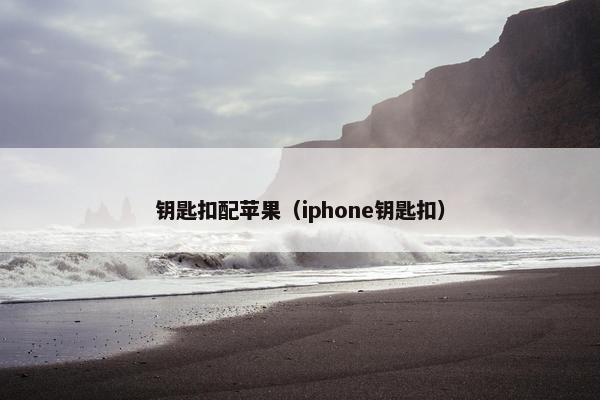钥匙扣配苹果（iphone钥匙扣）