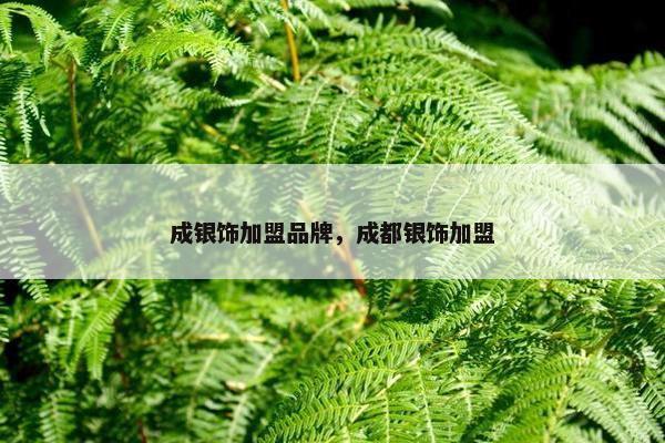 成银饰加盟品牌，成都银饰加盟