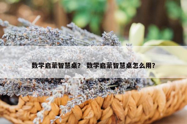 数学启蒙智慧桌? 数学启蒙智慧桌怎么用? 数学启蒙智慧桌? 数学启蒙智慧桌怎么用?