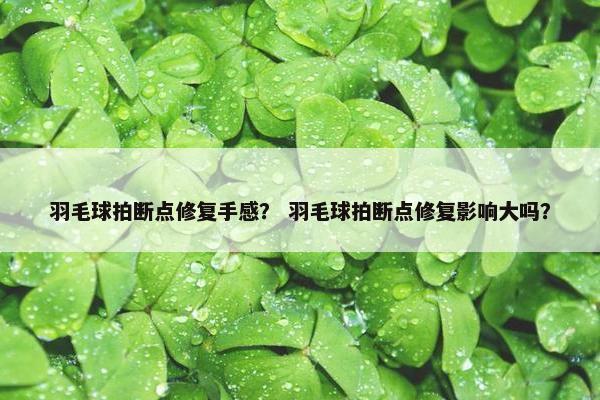 羽毛球拍断点修复手感? 羽毛球拍断点修复影响大吗? 羽毛球拍断点修复手感? 羽毛球拍断点修复影响大吗?