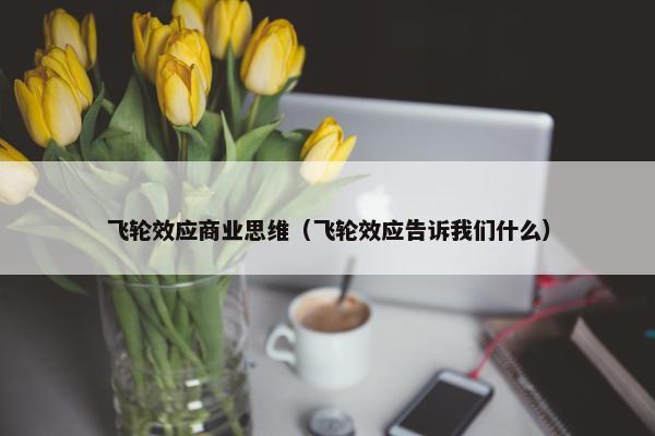 飞轮效应商业思维（飞轮效应告诉我们什么）
