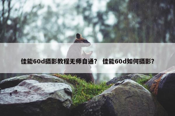 佳能60d摄影教程无师自通？ 佳能60d如何摄影？