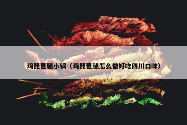 鸡琵琶腿小锅(鸡琵琶腿怎么做好吃四川口味) 鸡琵琶腿小锅(鸡琵琶腿怎么做好吃四川口味)