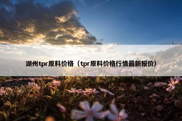 湖州tpr原料价格（tpr原料价格行情最新报价）