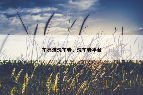 车亮洁洗车券，洗车券平台