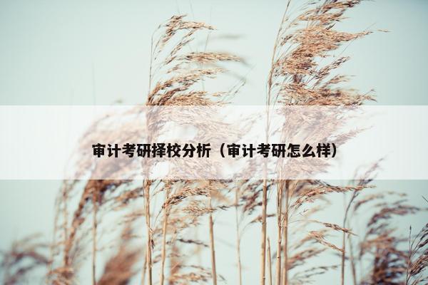 审计考研择校分析（审计考研怎么样）