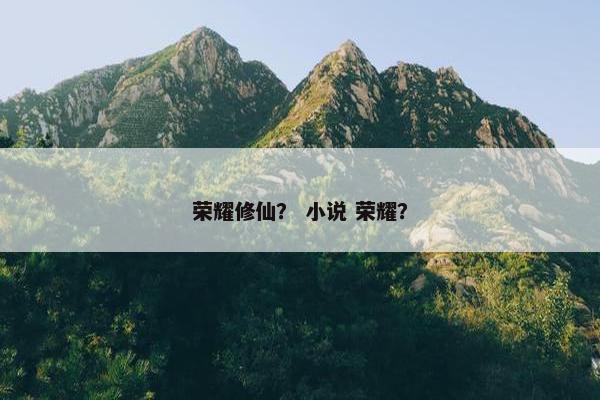 荣耀修仙？ 小说 荣耀？