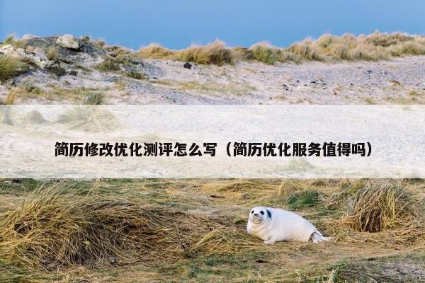 简历修改优化测评怎么写（简历优化服务值得吗）