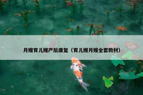 月嫂育儿嫂产后康复（育儿嫂月嫂全套教材）