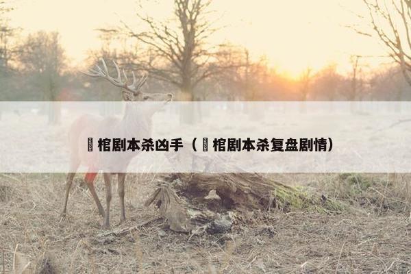 囍棺剧本杀凶手（囍棺剧本杀复盘剧情）