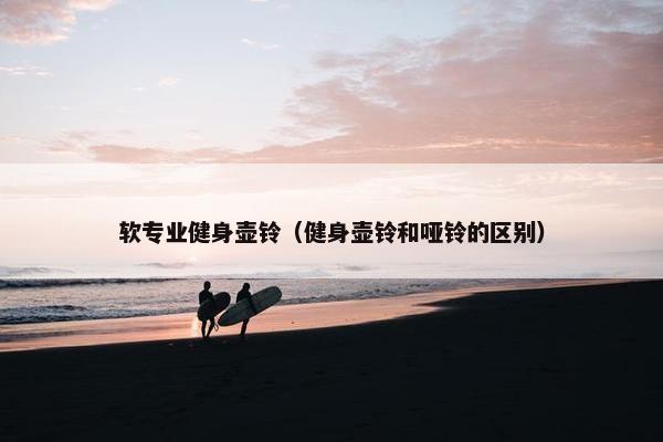 软专业健身壶铃（健身壶铃和哑铃的区别）