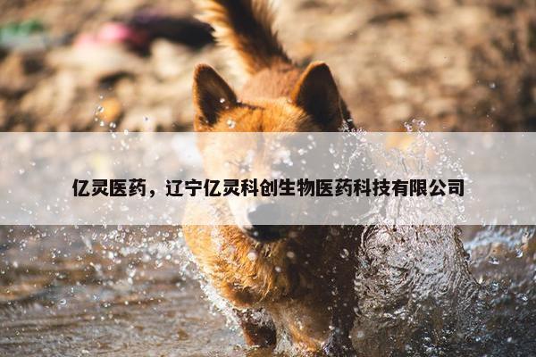 亿灵医药，辽宁亿灵科创生物医药科技有限公司