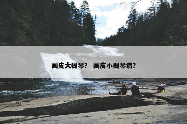 画皮大提琴？ 画皮小提琴谱？