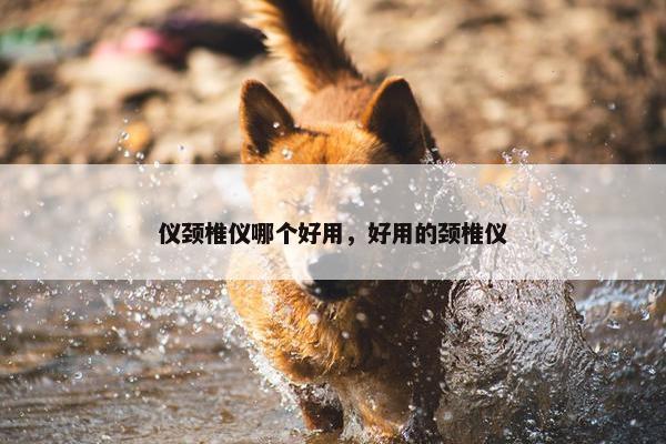 仪颈椎仪哪个好用，好用的颈椎仪