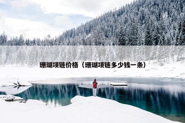 珊瑚项链价格（珊瑚项链多少钱一条）