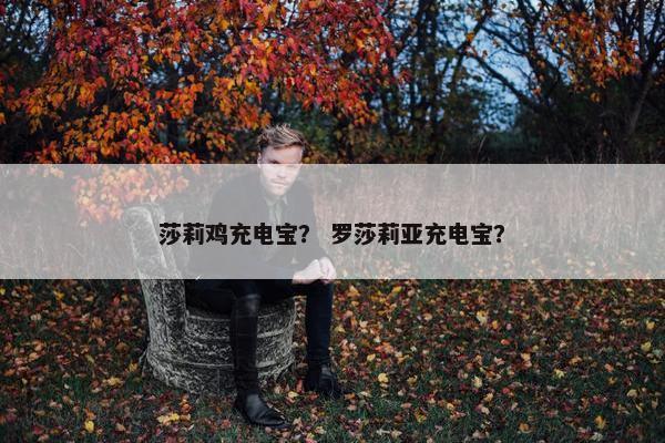 莎莉鸡充电宝？ 罗莎莉亚充电宝？