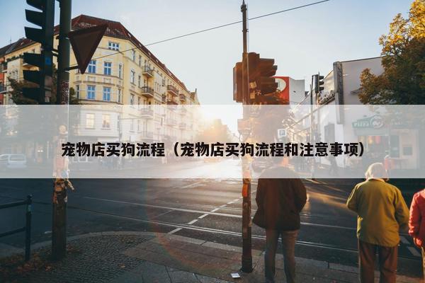 宠物店买狗流程（宠物店买狗流程和注意事项）