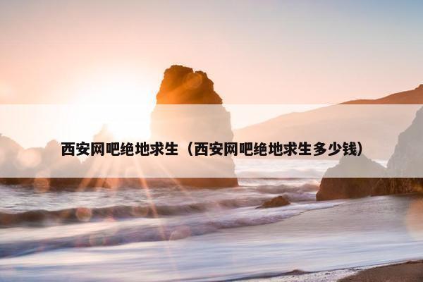 西安网吧绝地求生（西安网吧绝地求生多少钱）