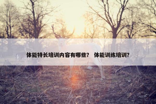 体能特长培训内容有哪些？ 体能训练培训？