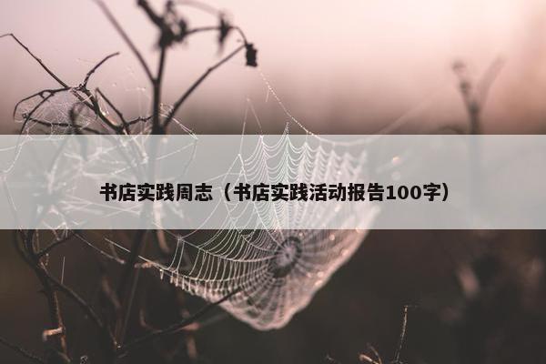 书店实践周志（书店实践活动报告100字）
