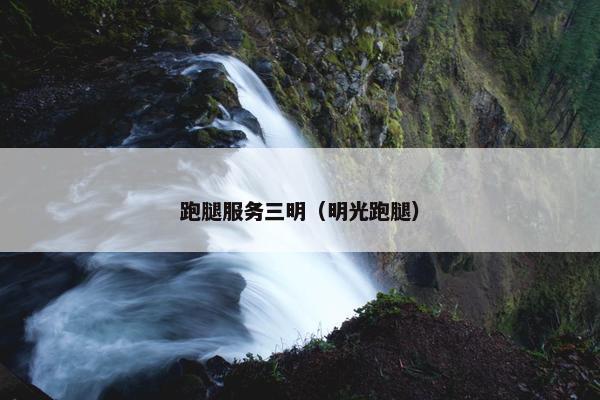 跑腿服务三明（明光跑腿）