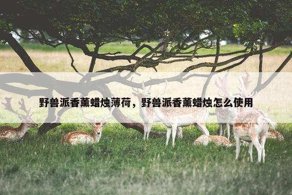 野兽派香薰蜡烛薄荷，野兽派香薰蜡烛怎么使用