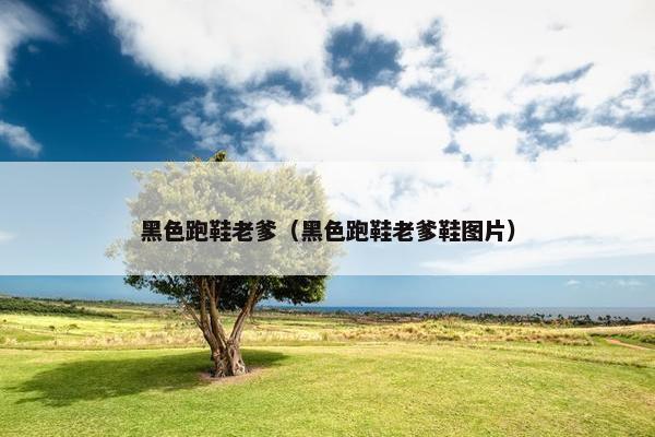 黑色跑鞋老爹（黑色跑鞋老爹鞋图片）