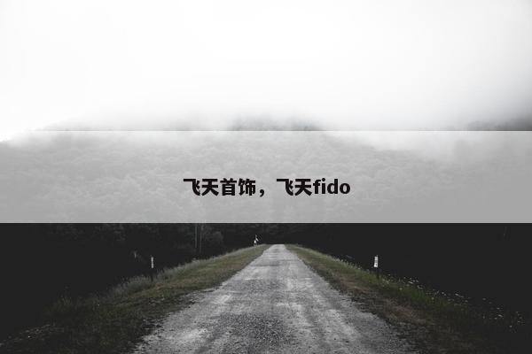 飞天首饰，飞天fido