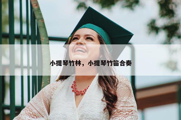 小提琴竹林，小提琴竹笛合奏