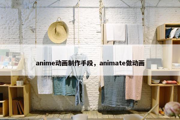 anime动画制作手段，animate做动画