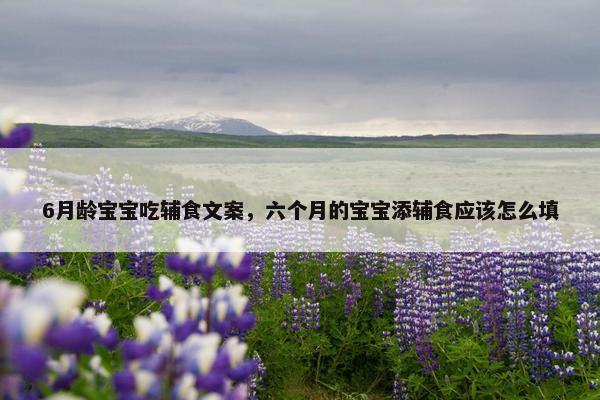 6月龄宝宝吃辅食文案，六个月的宝宝添辅食应该怎么填