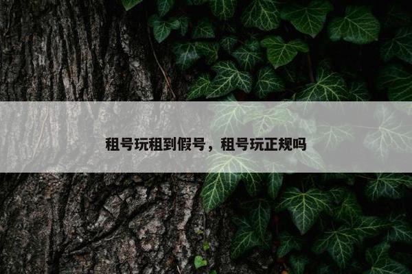 租号玩租到假号，租号玩正规吗