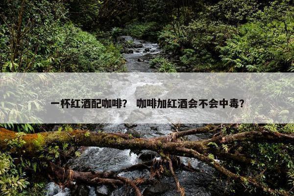 一杯红酒配咖啡？ 咖啡加红酒会不会中毒？