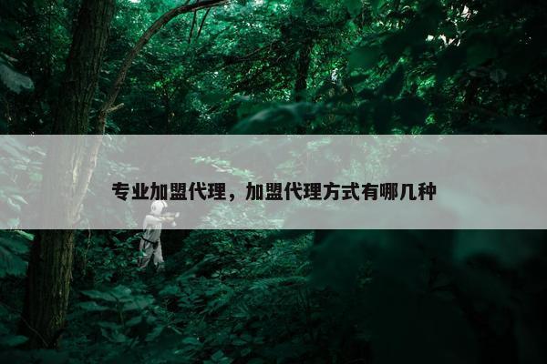 专业加盟代理，加盟代理方式有哪几种