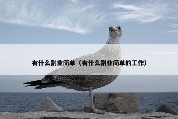 有什么副业简单（有什么副业简单的工作）