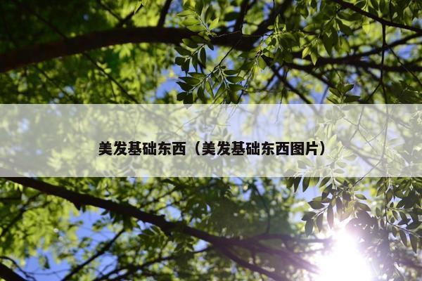 美发基础东西（美发基础东西图片）