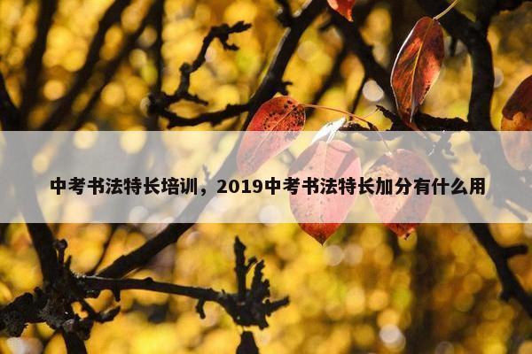中考书法特长培训，2019中考书法特长加分有什么用