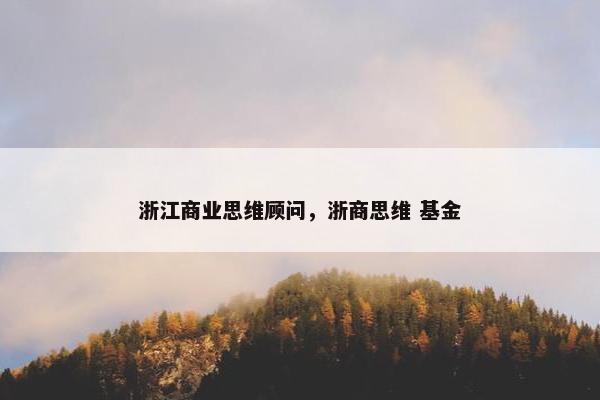浙江商业思维顾问，浙商思维 基金