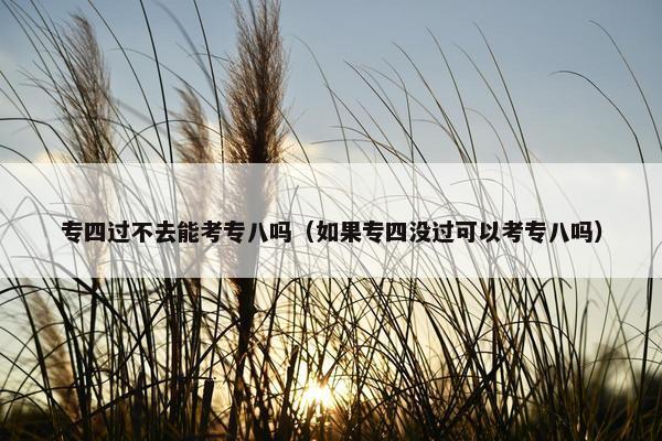 专四过不去能考专八吗（如果专四没过可以考专八吗）