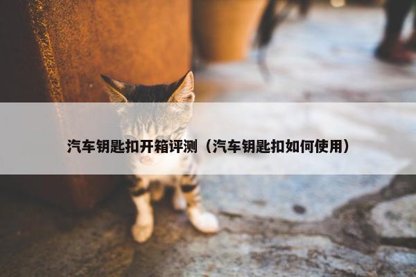 汽车钥匙扣开箱评测（汽车钥匙扣如何使用）