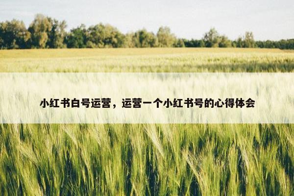小红书白号运营，运营一个小红书号的心得体会