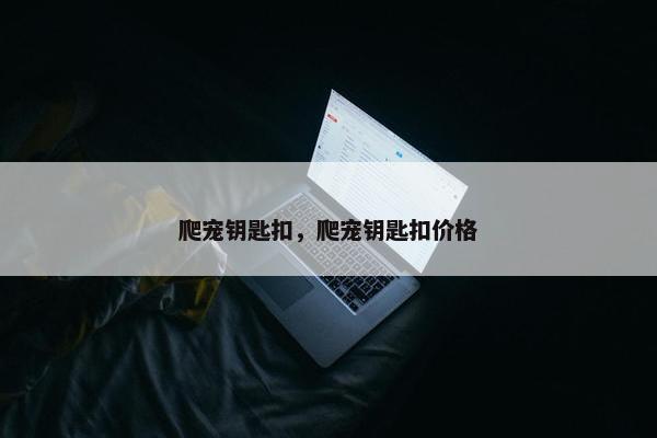 爬宠钥匙扣，爬宠钥匙扣价格