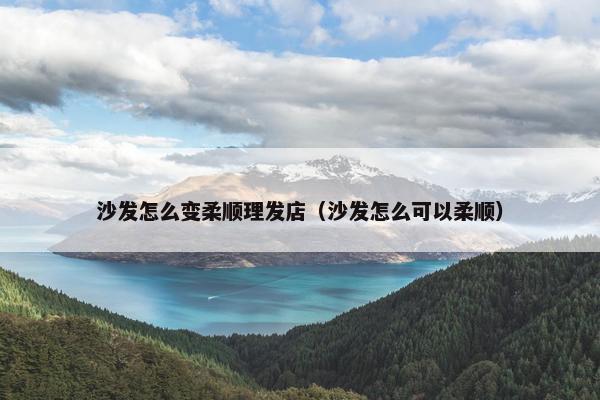 沙发怎么变柔顺理发店（沙发怎么可以柔顺）