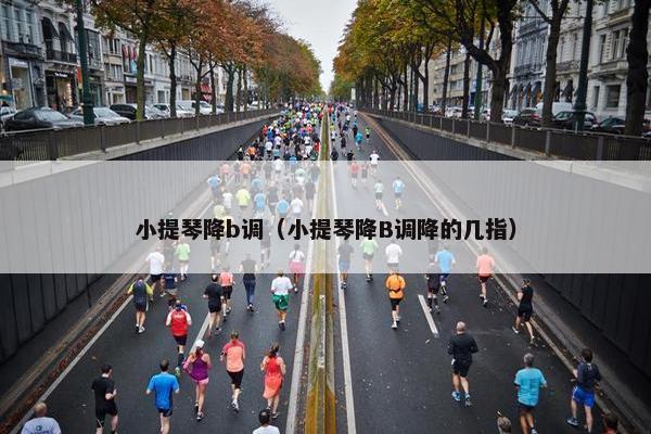 小提琴降b调（小提琴降B调降的几指）
